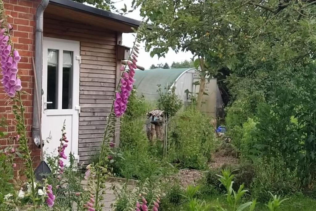Fairschlafen - Gartenwohnung Buecken Bagian luar foto